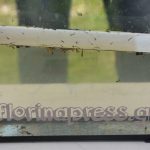 καταπολέμηση κουνουπιών_ψεκασμός_Λιμνοχώρι (57)